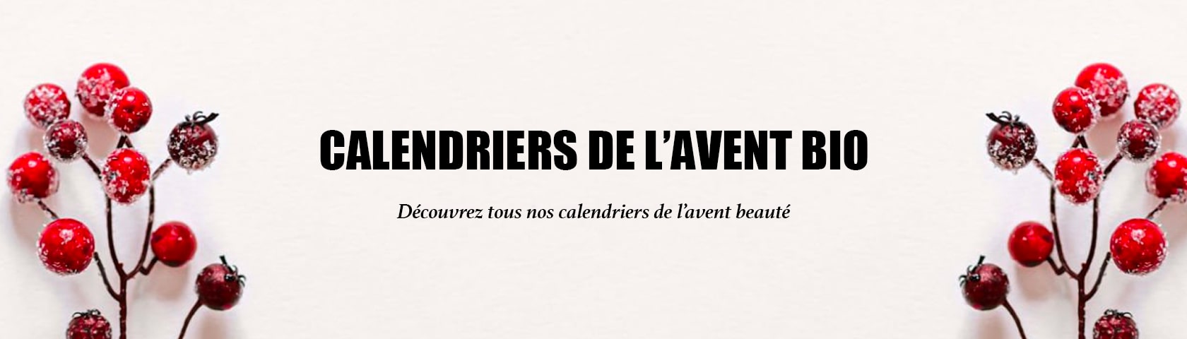 calendrier-avent-bio