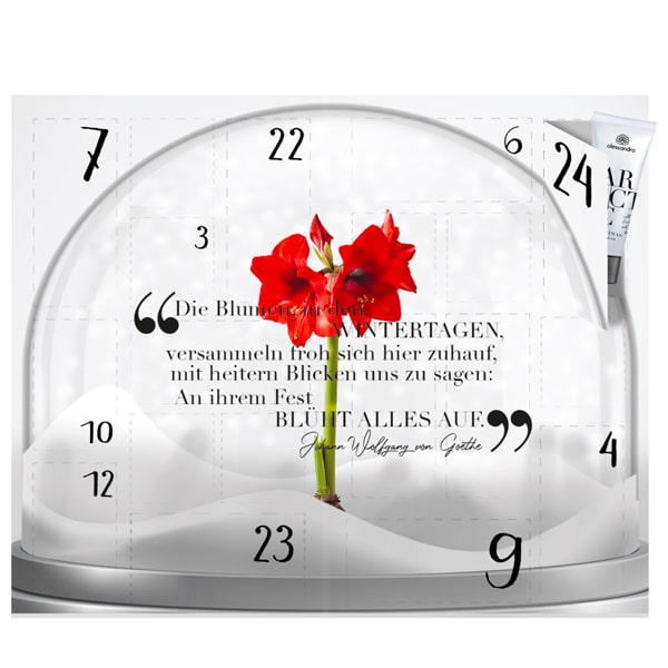 calendrier avent beaute 2021 alessandro