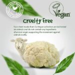 calendrier de lavent 7 days vegan 2021